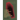 I Died Too, But They Haven't Buried Me Yet