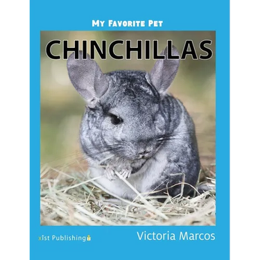 My Favorite Pet: Chinchillas