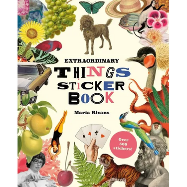 Extraordinary Things Sticker Book