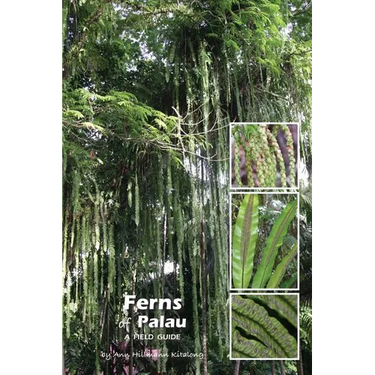 Ferns of Palau: A Field Guide