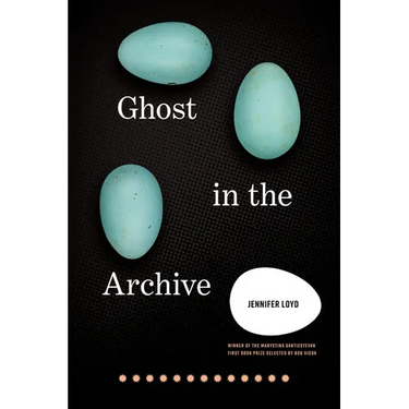 Ghost in the Archive