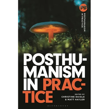 Posthumanism in Practice