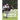 The American Thoroughbred Horse