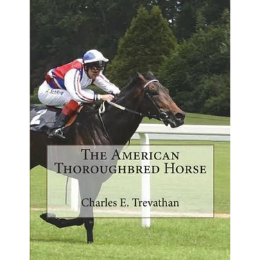 The American Thoroughbred Horse