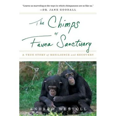 The Chimps of Fauna Sanctuary: A True Story of Resilience and Recovery