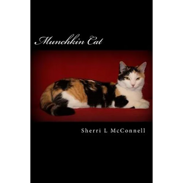 Munchkin Cat