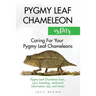 Pygmy Leaf Chameleons as Pets: Pygmy Leaf facts, care, breeding, nutritional information, tips, and more! Caring For Your Pygmy Leaf Chameleons