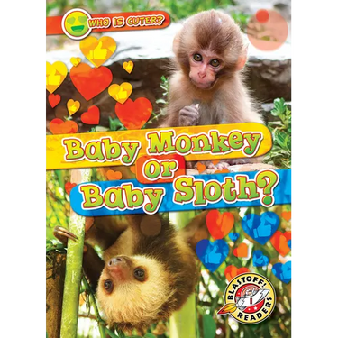 Baby Monkey or Baby Sloth?
