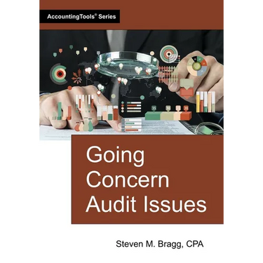 Going Concern Audit Issues