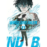 Wind Breaker 11
