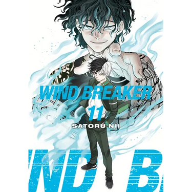 Wind Breaker 11