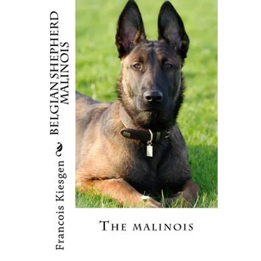 belgian shepherd malinois