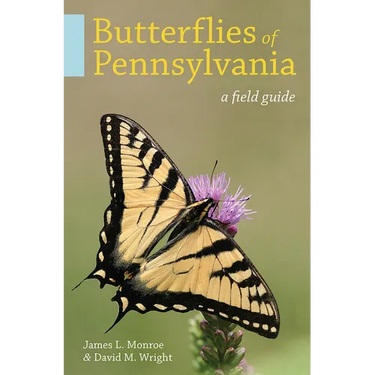 Butterflies of Pennsylvania: A Field Guide