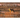 Coyote