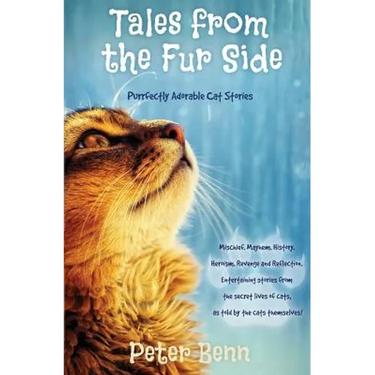 Tales from the Fur Side: Purrfectly Adorable Cat Stories