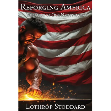 Reforging America: The Story of Our Nationhood