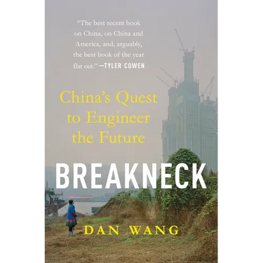 Breakneck: China's Quest to Engineer the Future