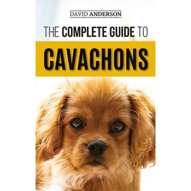 The Complete Guide to Cavachons: Choosing, Training, Teaching, Feeding, and Loving Your Cavachon Dog
