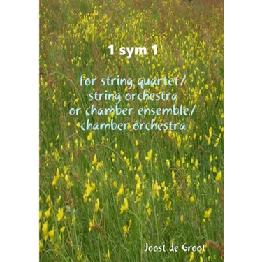 1 sym 1 for string quartet/string orchestra or chamber ensemble/chamber orchestra