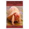 Sulcata Tortoise: The Complete Guide About Sulcata Tortoise
