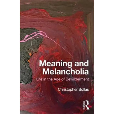 Meaning and Melancholia: Life in the Age of Bewilderment