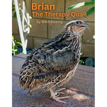 Brian The Therapy Quail