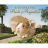 A Guinea Pig Pride & Prejudice