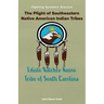 The Plight of Southeastern Native American Indian Tribes: Fighting Systemic Eracism