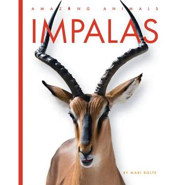 Impalas
