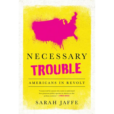 Necessary Trouble: Americans in Revolt