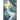 Minnow