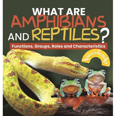 What are Amphibians and Reptiles? Functions, Groups, Roles and Characteristics Grade 6-8 Life Science