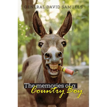 The Memories of a Country Boy