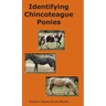 Identifying Chincoteague Ponies