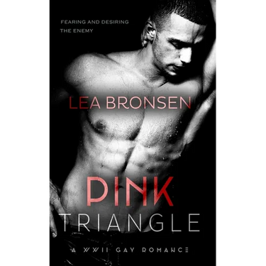Pink Triangle: A WWII Gay Romance