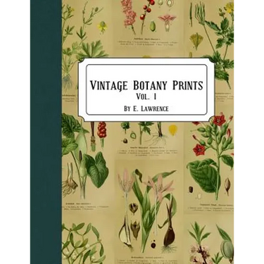 Vintage Botany Prints: Vol. 1