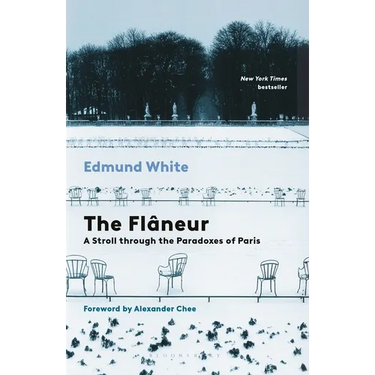 The Flaneur: A Stroll Through the Paradoxes of Paris