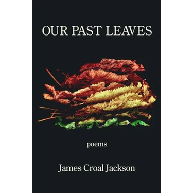 Our Past Leaves
