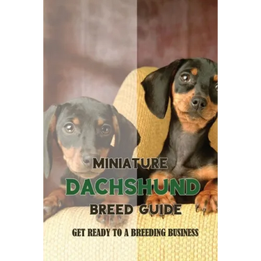 Miniature Dachshund Breed Guide: Get Ready To A Breeding Business: How Are Mini Dachshunds Bred