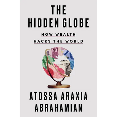 The Hidden Globe: How Wealth Hacks the World