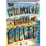 The Wildwood Days of Doo Wop
