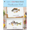 Freshwater Fish