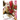 Rooster Fighter, Vol. 7