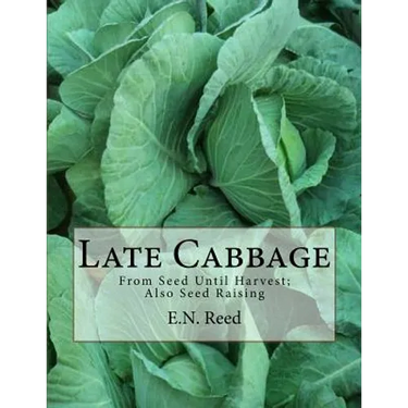 Late Cabbage: From Seed Until Harvest; Also Seed Raising