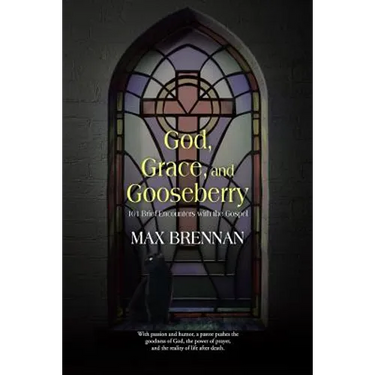 God, Grace, and Gooseberry: 101 Brief Encounters with the Gospel