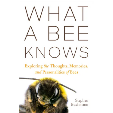 What a Bee Knows: Exploring the Thoughts, Memories, and Personalities of Bees