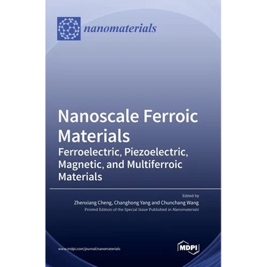 Nanoscale Ferroic Materials: Ferroelectric, Piezoelectric, Magnetic, and Multiferroic Materials