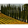 The Green Heart of Italy