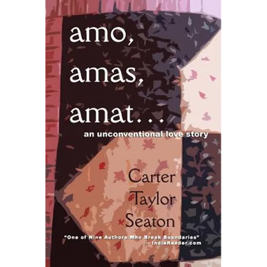amo, amas, amat...: An Unconventional Love Story