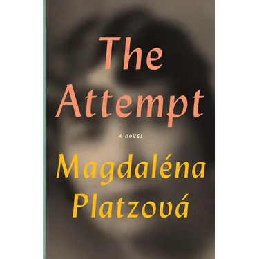 The Attempt